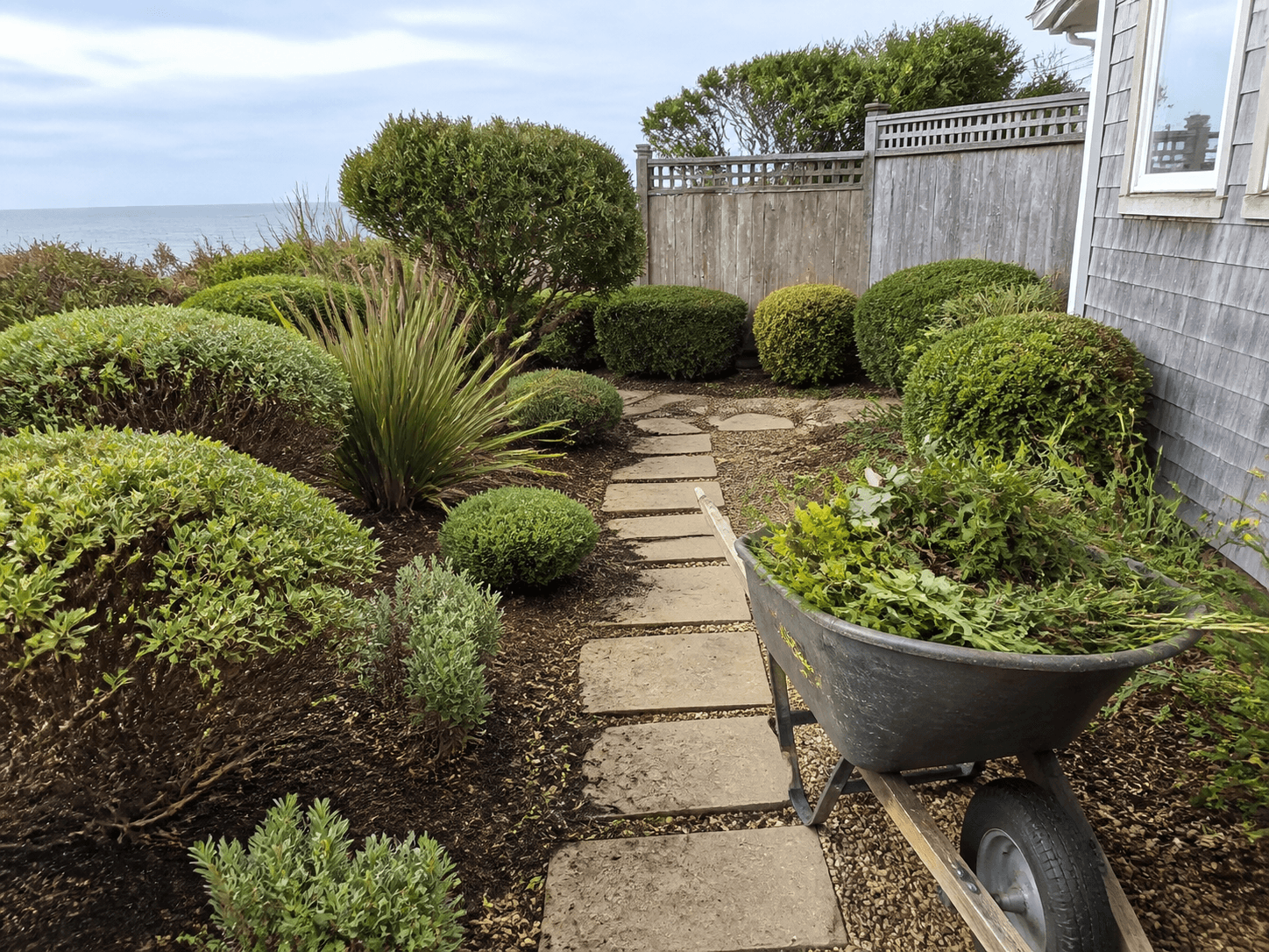 Yard Cleanup & Pruning landscaping service example